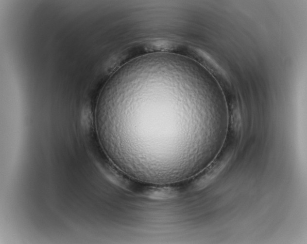 X0000116110459200911301126