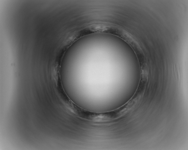 X0000116110460200911301126