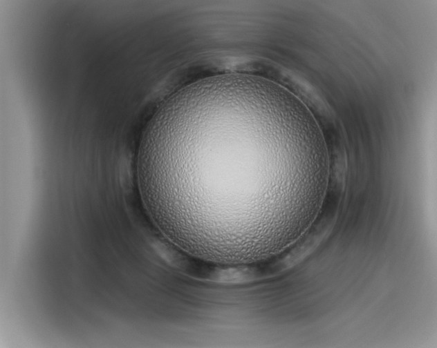 X0000116110461200911301126