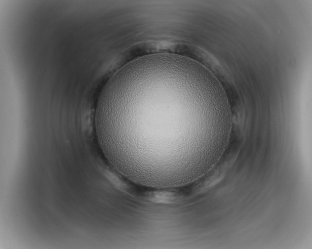 X0000116110462200911301126