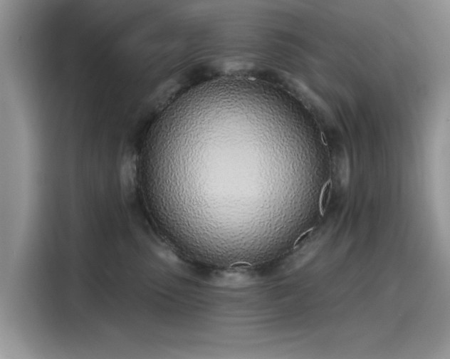 X0000116110475200911301126