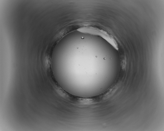 X0000116110476200911301126