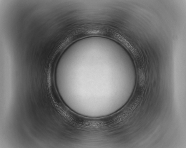 X0000116110482200911301126