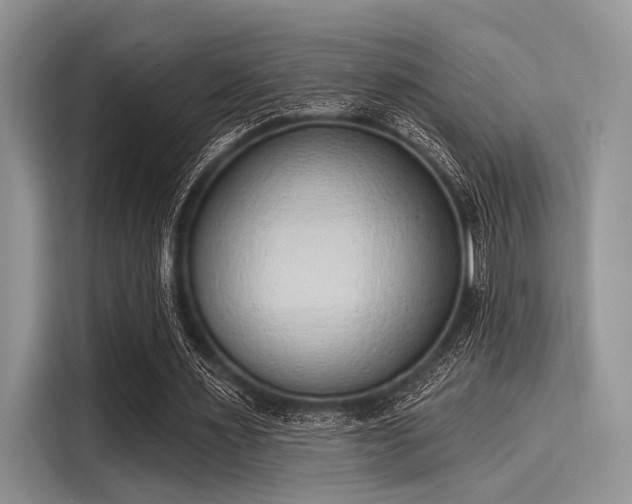 X0000116110483200911301126