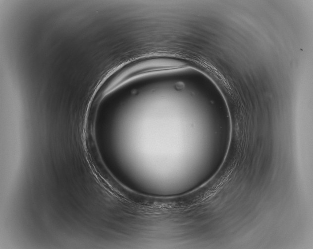 X0000116110484200911301126