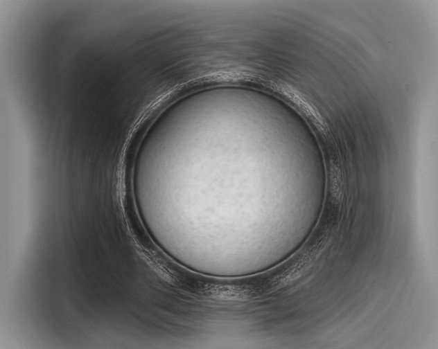 X0000116110486200911301126