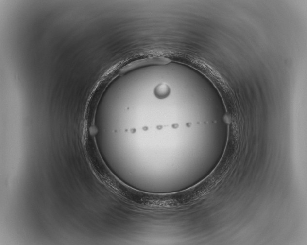 X0000116110488200911301126