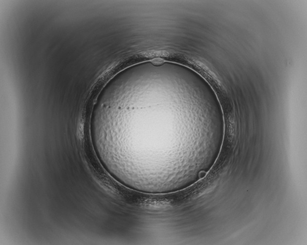 X0000116110491200911301126