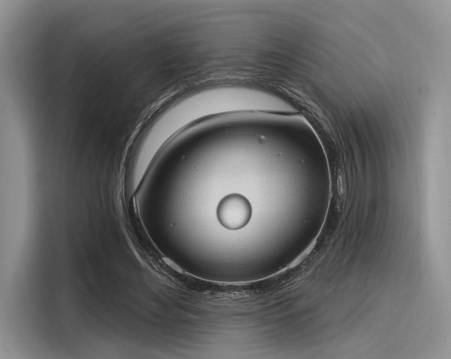 X0000116110492200911301126