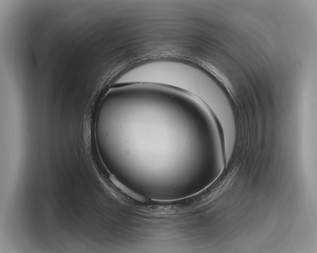 X0000116110493200911301126