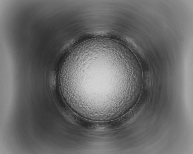 X0000116110495200911301126