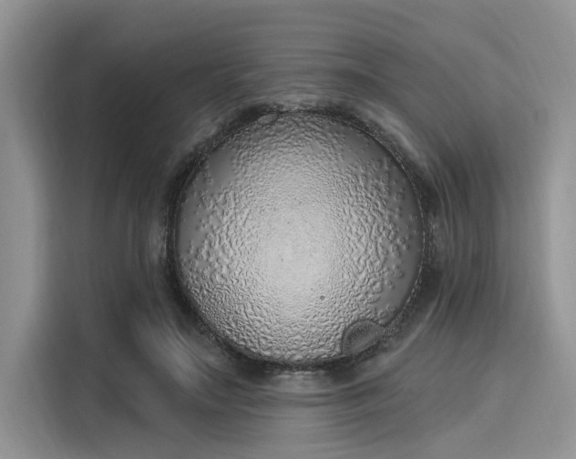 X0000116110499200911301126