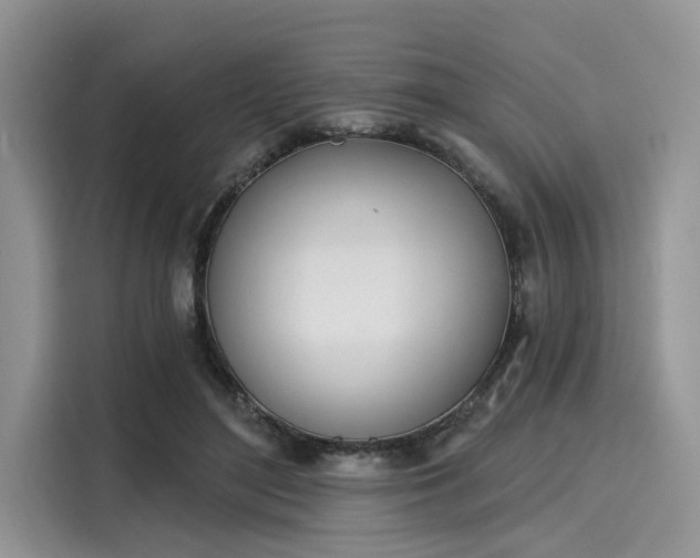 X0000116110500200911301126