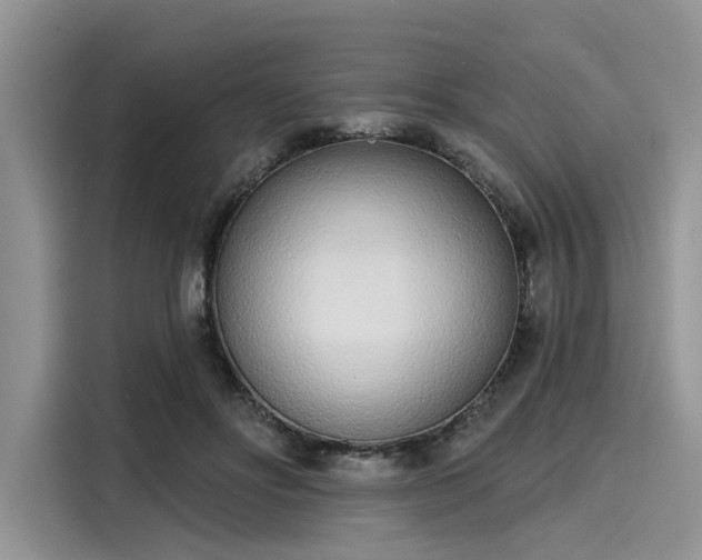 X0000116110502200911301126