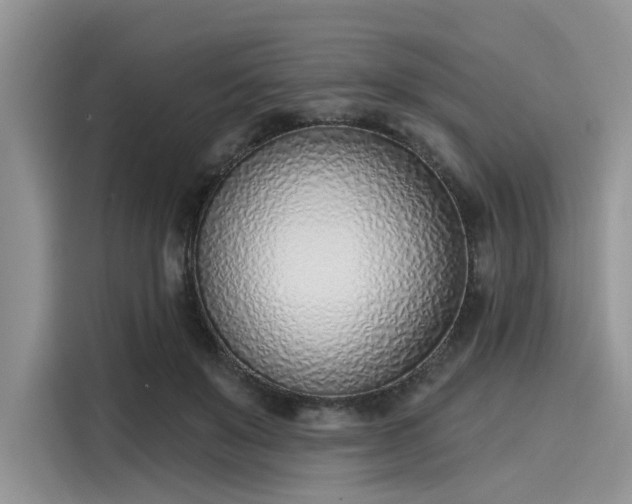 X0000116110503200911301126