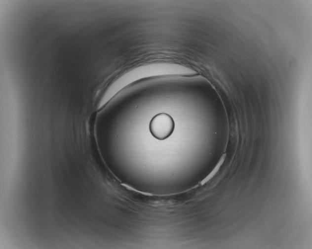 X0000116110508200911301125