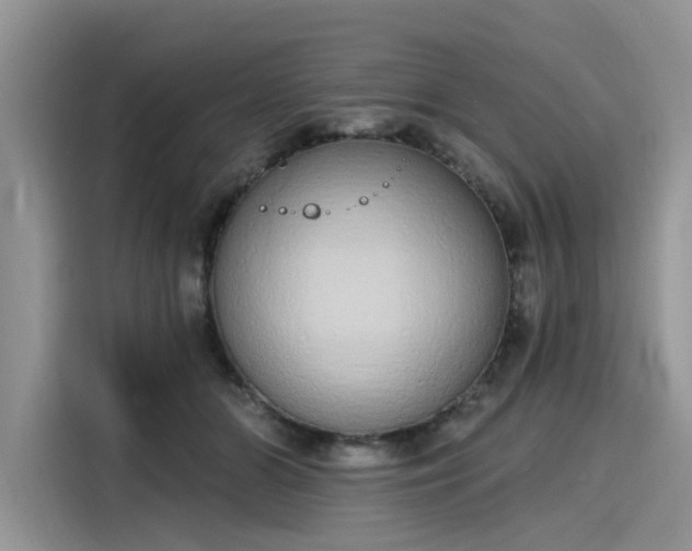 X0000116110510200911301125