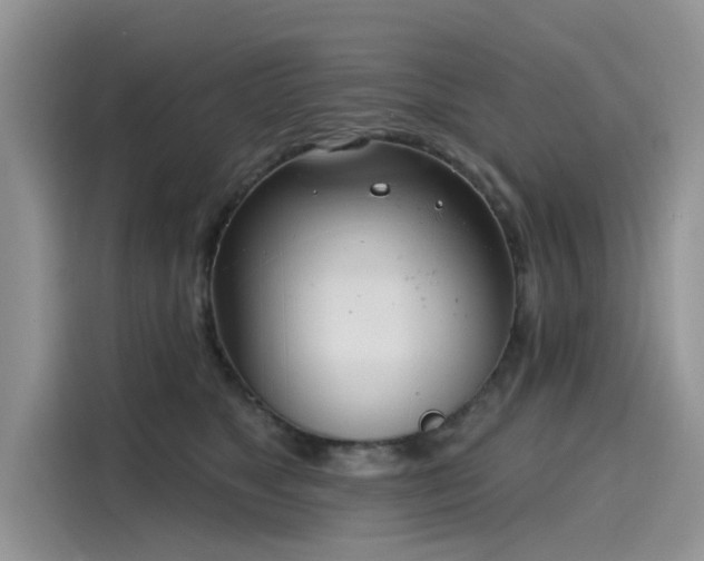 X0000116110517200911301125