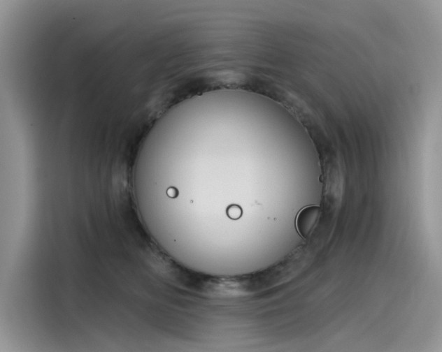 X0000116110518200911301125