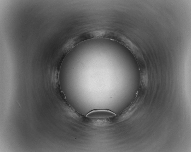 X0000116110525200911301125