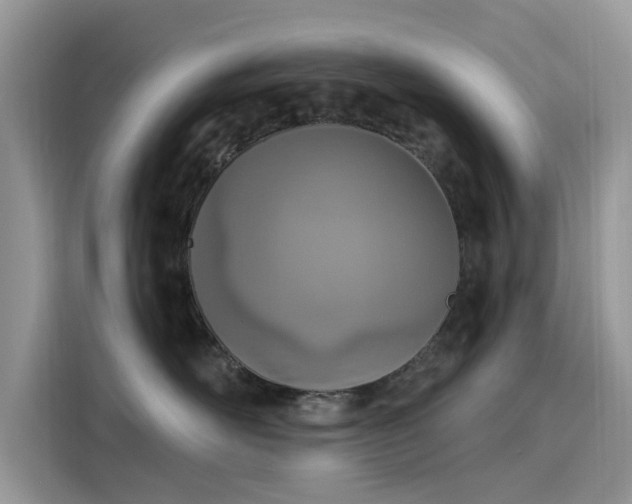 X0000116110526200911301125