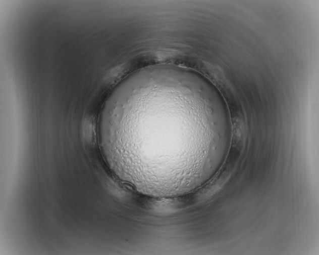 X0000116110527200911301125