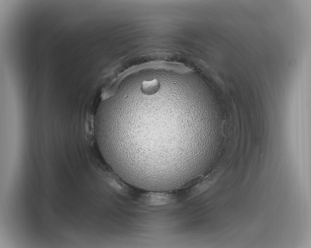 X0000116110528200911301125