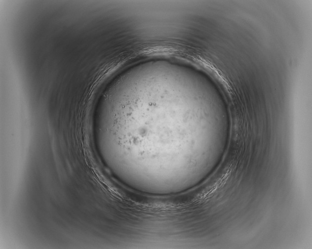 X0000116110529200911301125