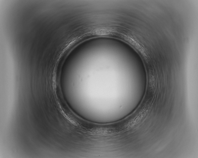 X0000116110530200911301125