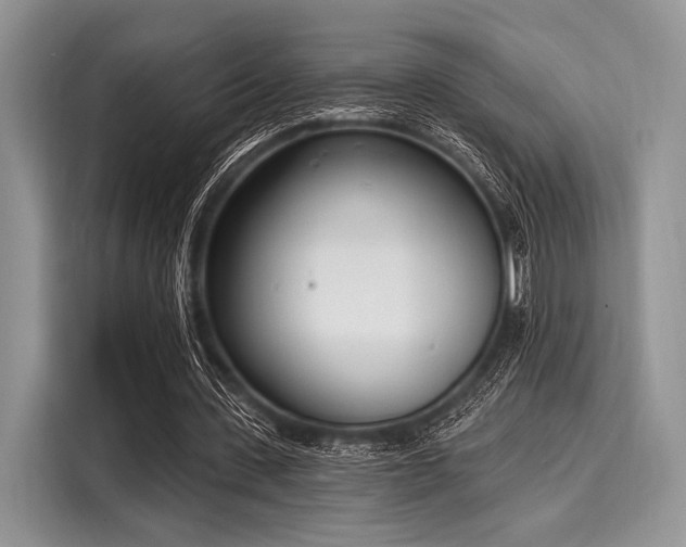 X0000116110531200911301125