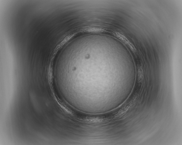 X0000116110533200911301125