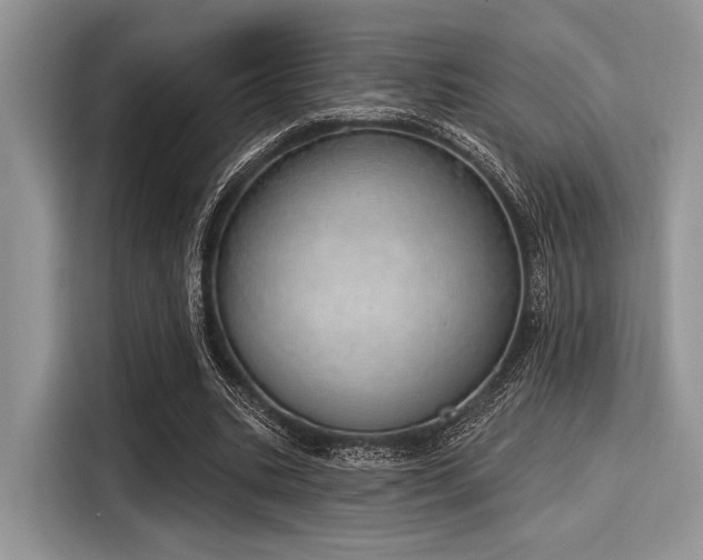 X0000116110535200911301125