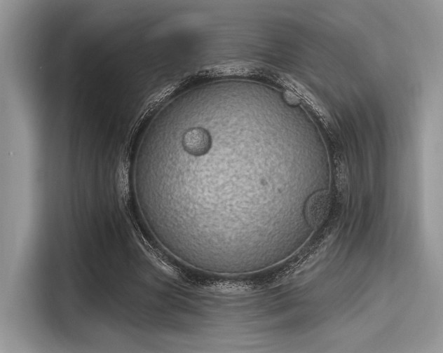 X0000116110537200911301125