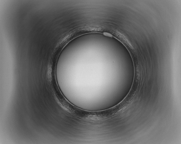 X0000116110538200911301125