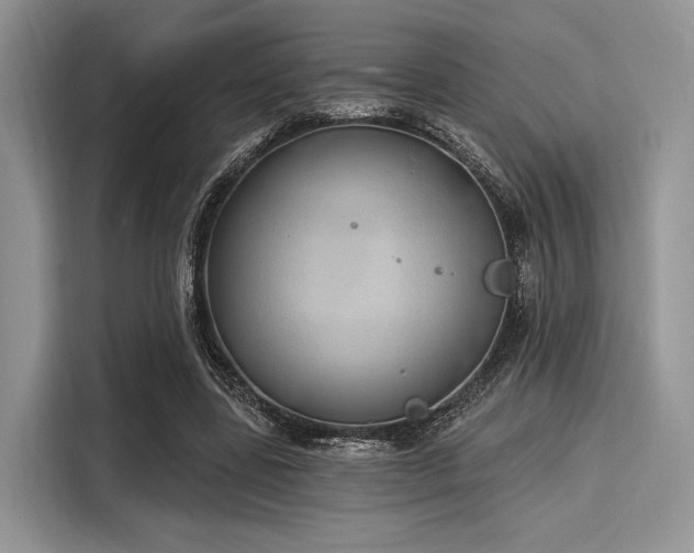 X0000116110539200911301125