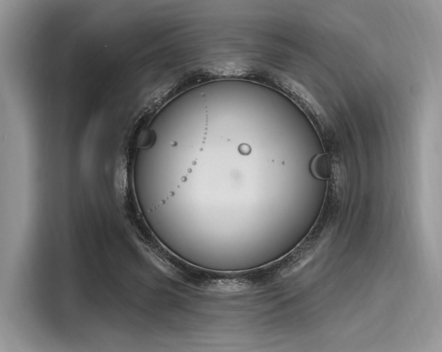 X0000116110541200911301125