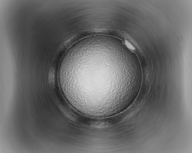 X0000116110542200911301125