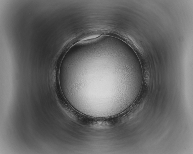 X0000116110543200911301125