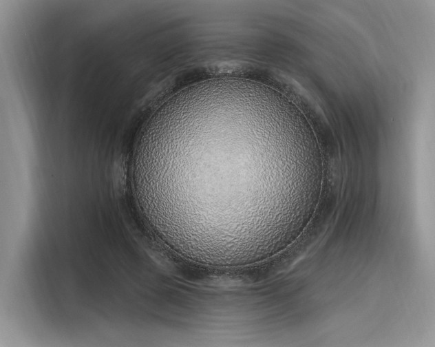 X0000116110545200911301125