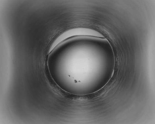 X0000116110546200911301125