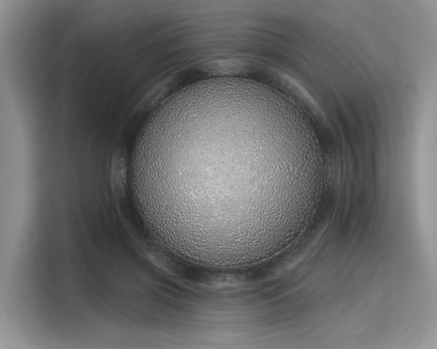 X0000116110549200911301125