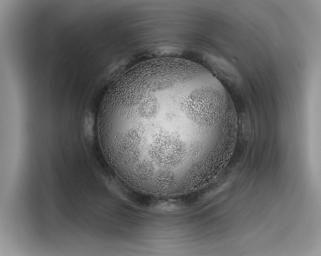 X0000116110550200911301125