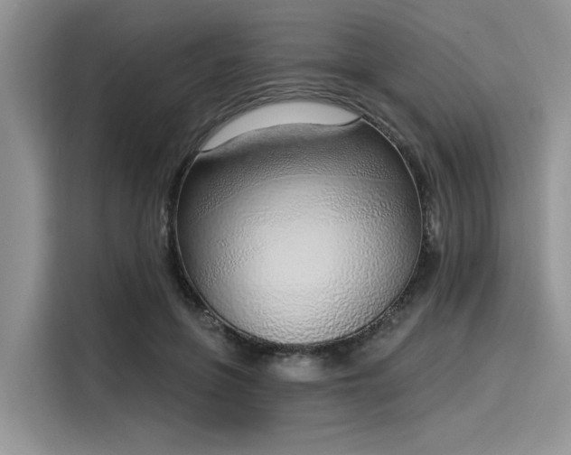 X0000116110551200911301125