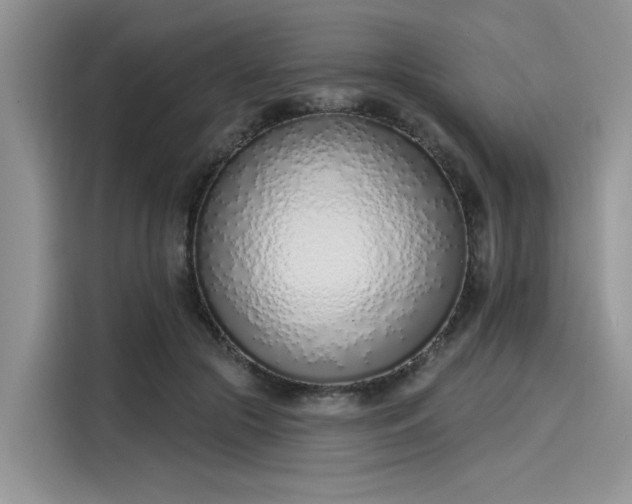 X0000116110553200911301125