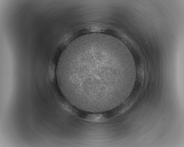 X0000116110554200911301125