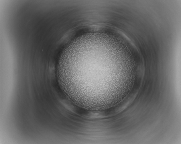 X0000116110557200911301125