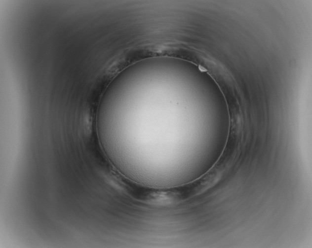 X0000116110558200911301125