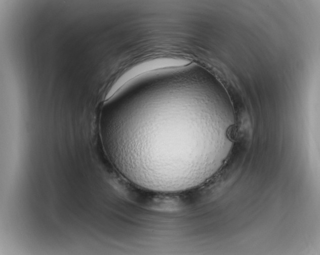 X0000116110559200911301125