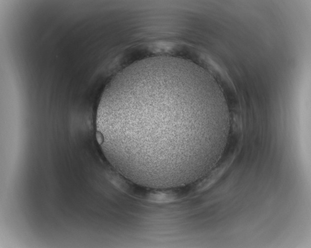 X0000116110561200911301125