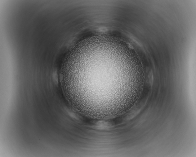 X0000116110562200911301125